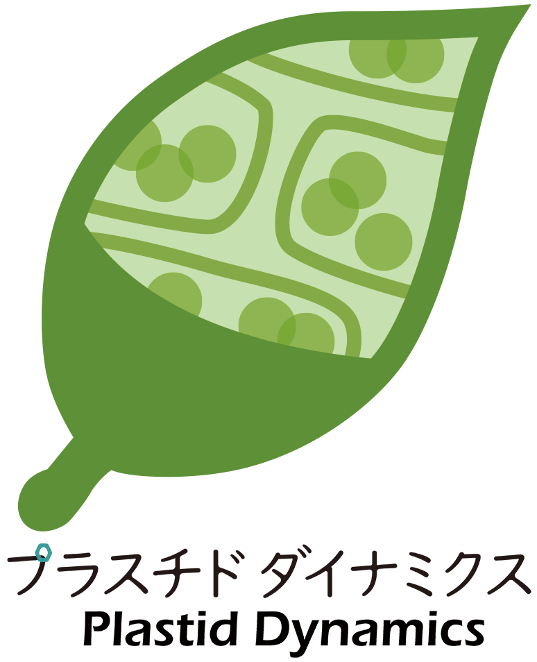 プラスチド相転換ダイナミクス