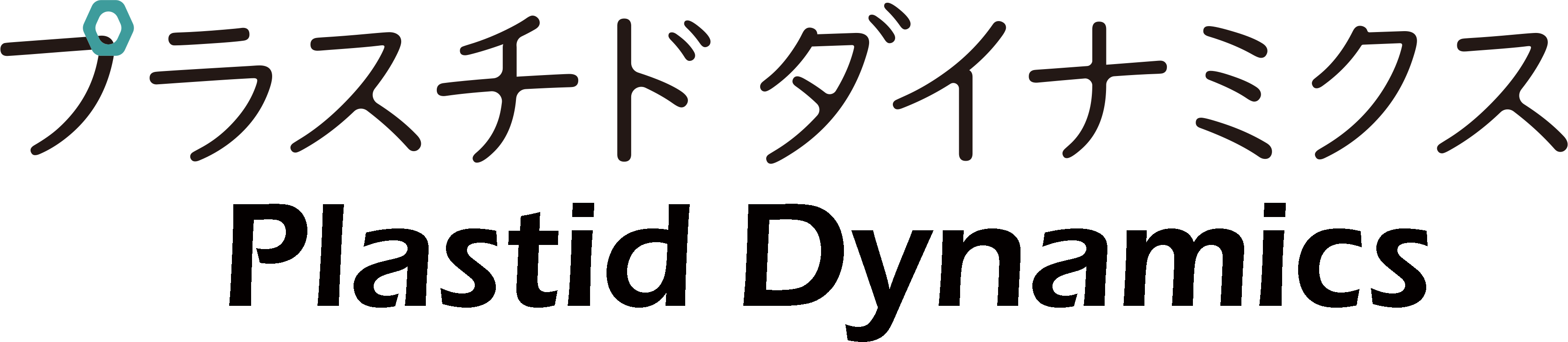 プラスチド相転換ダイナミクス